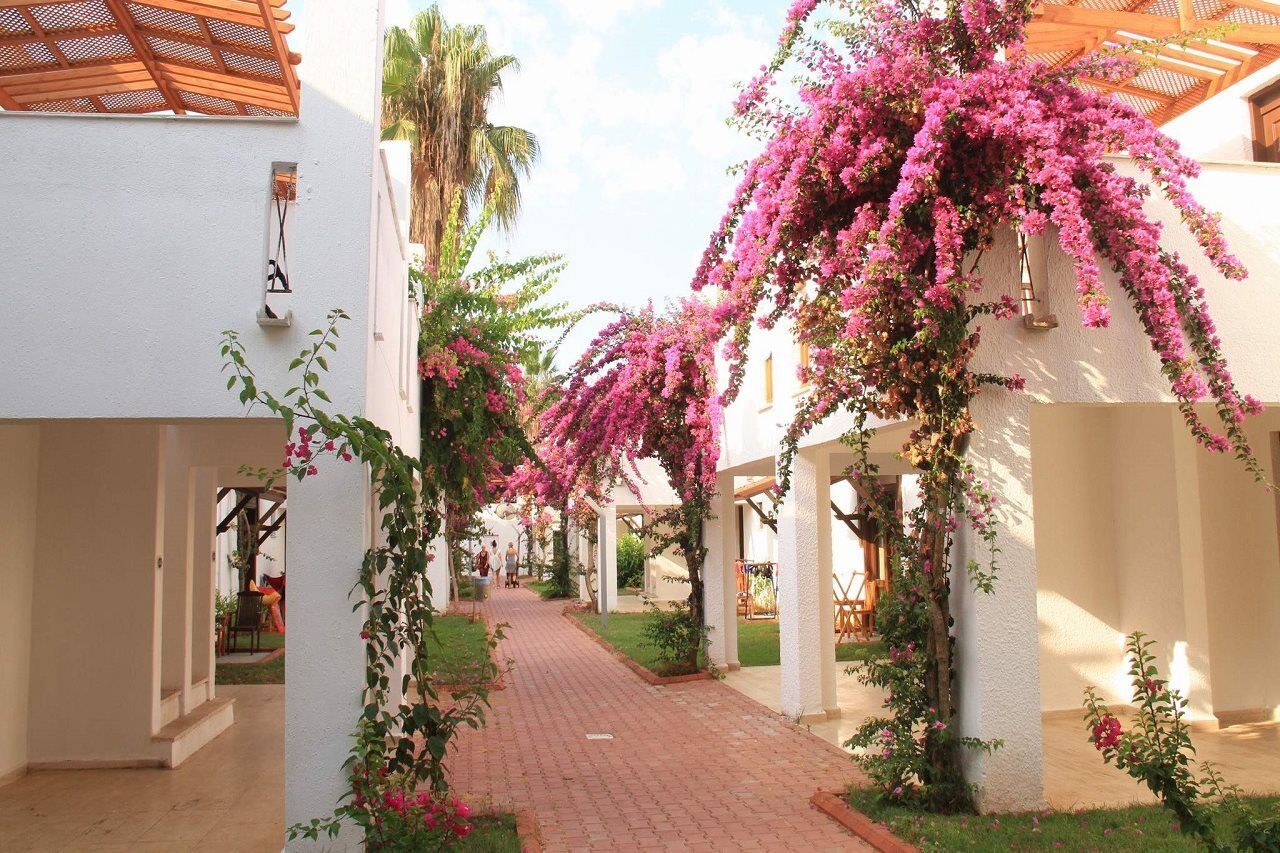 Club Kastalia Holiday Village Konaklı Dış mekan fotoğraf